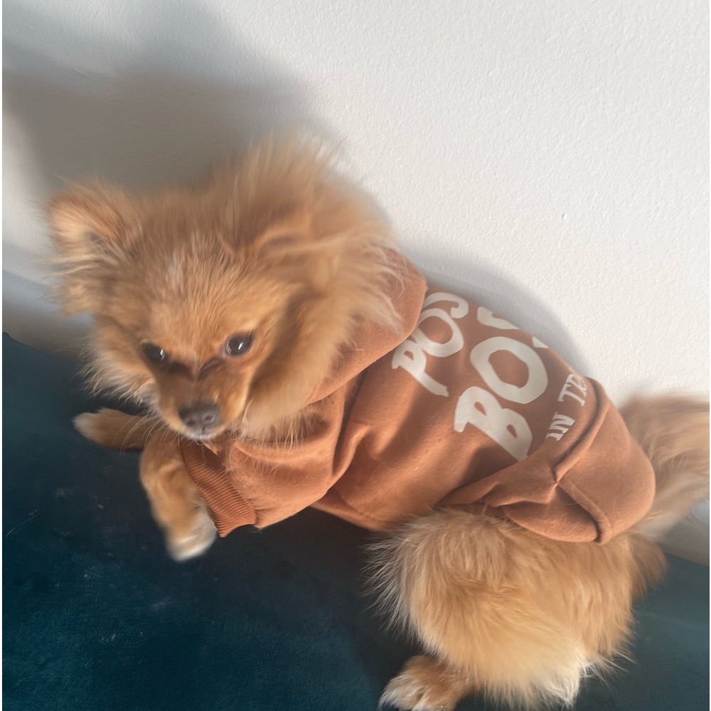 Giveaways ToDAY! 🎁🛑Lots of Surprises! 🫵🧿🪬 - Picture 6 of 16